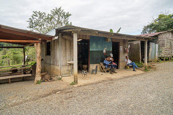 Coffee Plantation HQ