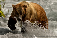 Alaska