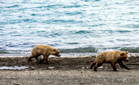 Alaska